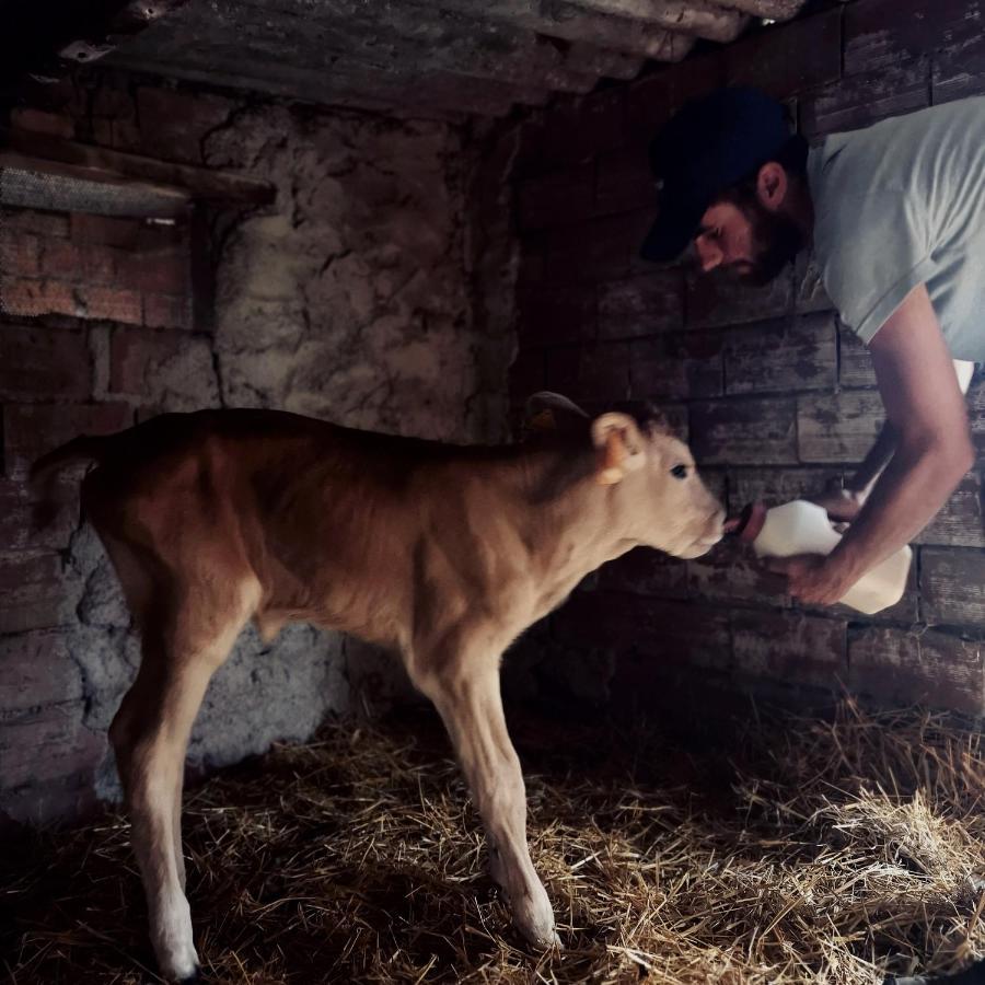 Fattoria Tolomei Campagnatico Экстерьер фото