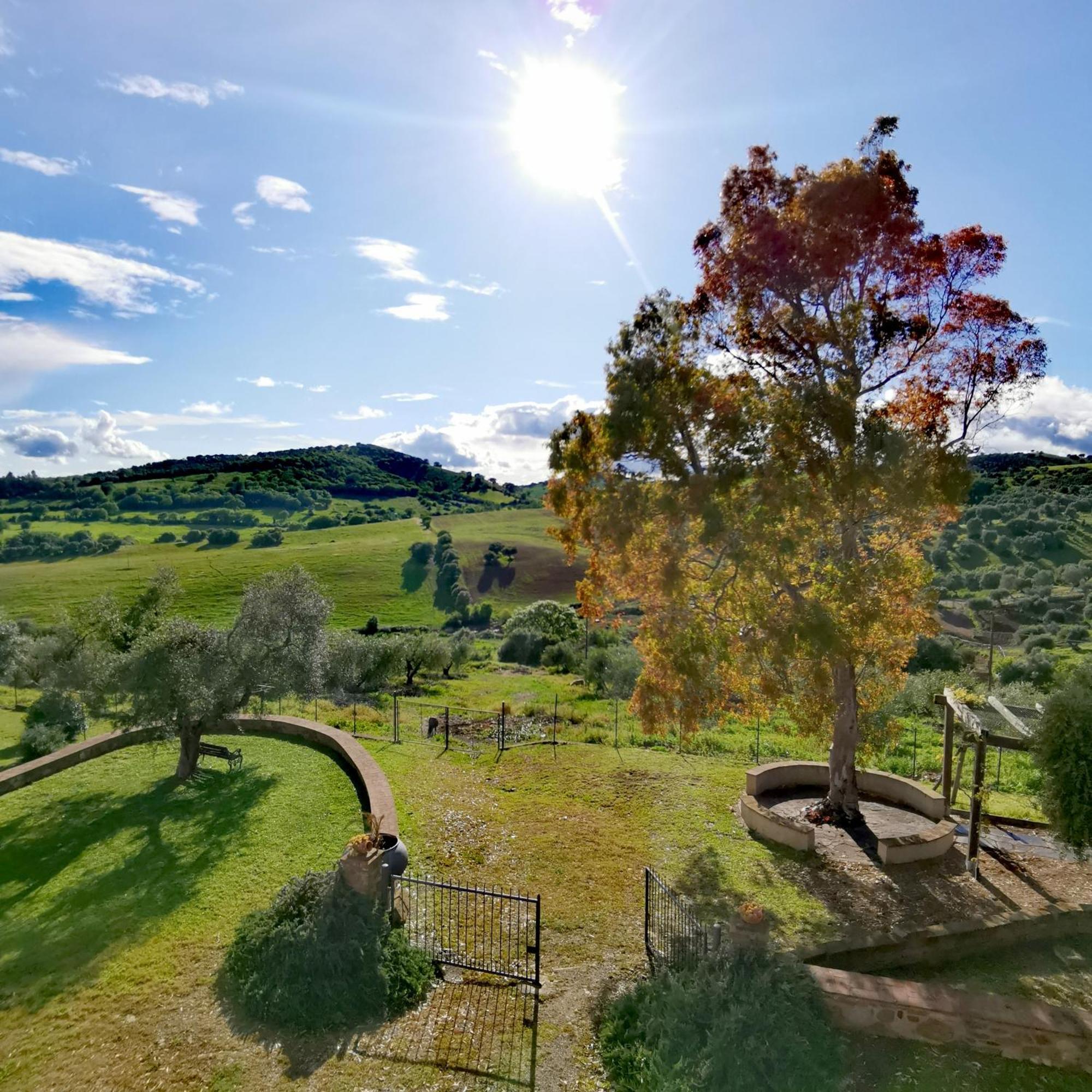 Fattoria Tolomei Campagnatico Экстерьер фото